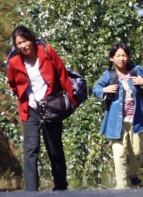 欧美极品在线播放
